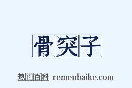 骨突子是什么意思的图片